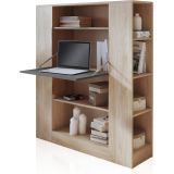 Estantería con Escritorio, Mesa de Ordenador, Acabado en Cambrian y Grafito, Medidas: 119,6 cm (Largo) x 139,6 cm (Alto) x 34