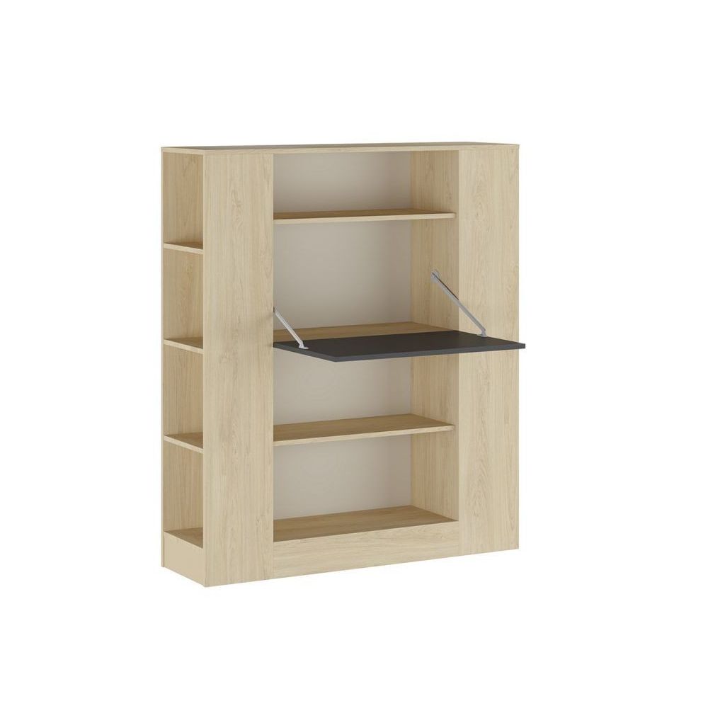 Estantería con Escritorio, Mesa de Ordenador, Acabado en Cambrian y Grafito, Medidas: 119,6 cm (Largo) x 139,6 cm (Alto) x 34
